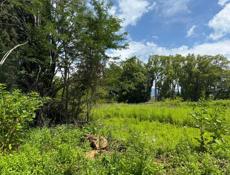 УЧАСТОК АЛАХАДЗЫ