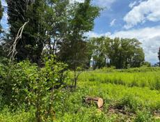 УЧАСТОК АЛАХАДЗЫ