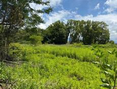 УЧАСТОК АЛАХАДЗЫ