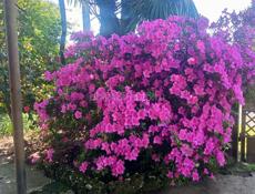 Ищу мастеров  в салон красоты 