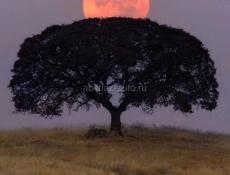 Ps 5,с дисководом , 3  игры ufs,человек паук, Ассасин,