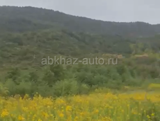 Продается участок  50 соток 