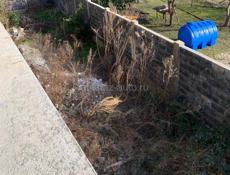 Гостиница Цандрипш.