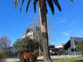 Семья из трех человек снимет квартиру на ДЛИТЕЛЬНЫЙ СРОК 