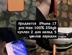 iPhone 17 pro max