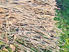 Продаю абыц