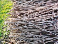 Продаю абыц