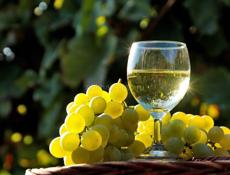 Продается белое вино