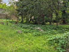 Объект в старой Гагре