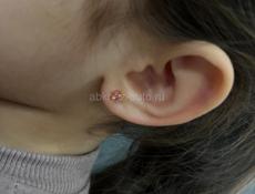 Требуются модели