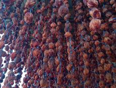 Сушка хурма