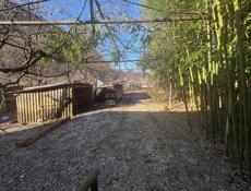 Дом с участком 