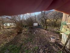 Дом с участком 