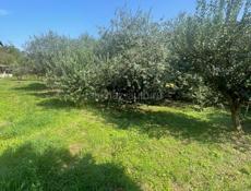 Продается земельный участок в центре 