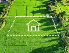 Земельный участок в Алахадзе 