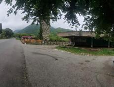 По дороге на Риццу