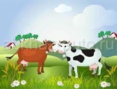 Продаётся две коровы, вопросы по телефону 