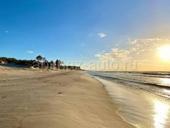 Продам участок 40 соток земли ,25-30 метров до берега моря от центра города 1км Участок ровный готов под постройку подойдёт под любые цели  Полный пакет документов,по цене в вотсап +79409137548