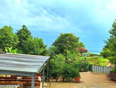 Дом жилой с садом 25 соток и море напротив! 