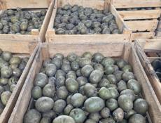 Все вопросы по телефону 