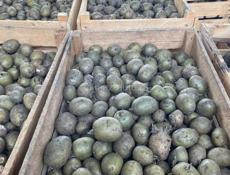 Все вопросы по телефону 