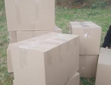 заказ принимаю на мимозу, при вас заготавливаем,