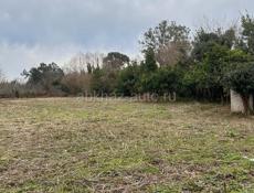 Земельный участок 