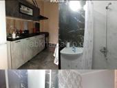 Цитрусовый совхоз