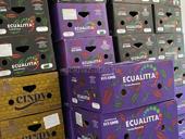 Коробки не разобранные 