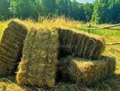 Сено в тюках