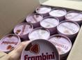 Frambinini
