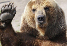 Дом Продажа Обмен!