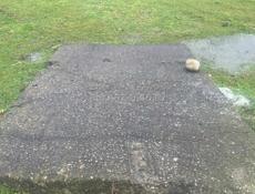 Срочно звонить на ватсапп 