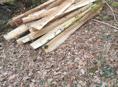 Продажа колышек в с. Члоу