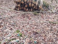 Продажа колышек в с. Члоу