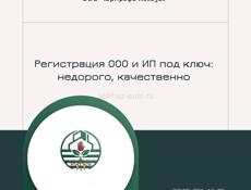 Бизнес в Абхазии: Регистрация ООО и ИП под ключ 🔑