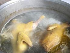 Продажа петухов