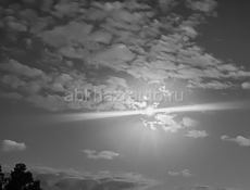 Продажа карта Сбер! 