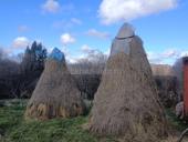 Продам сено срочно!