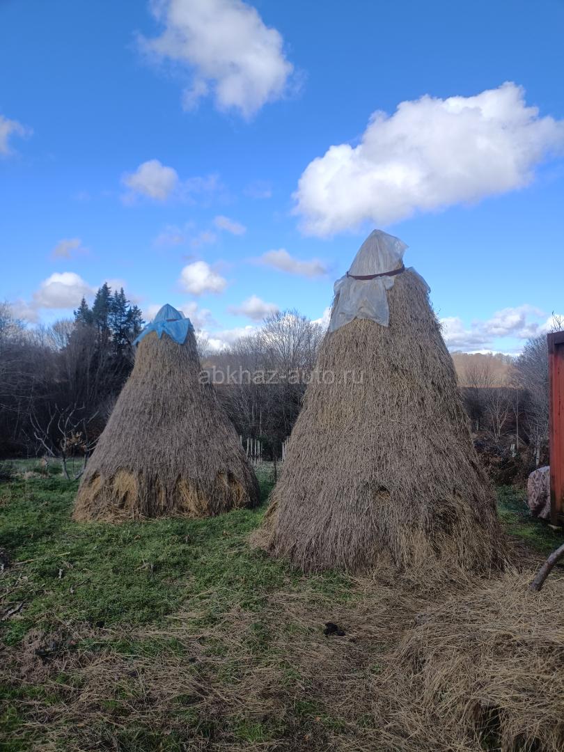 Продам сено срочно!