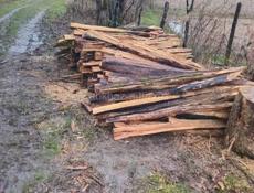 Колышки из акации Сухум 