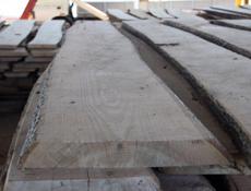 древесина ясеня