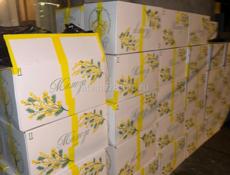 Хорошая мимоза , недорого 