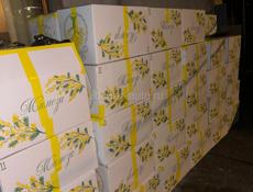 Мимоза  в коробках 