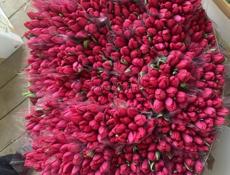 Тюльпаны 🌷💐