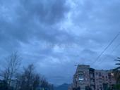 Сдам на сезон