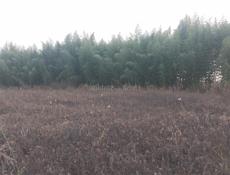 Земельный участок Истонка 