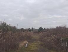 Земельный участок Истонка