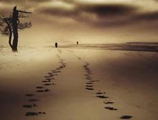 Есть три утеплённых вагончика желые 