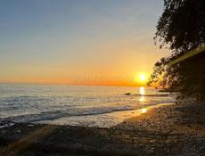 Сниму квартиру Новый Район